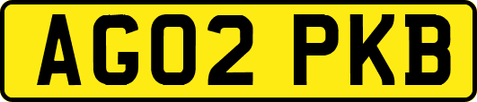 AG02PKB