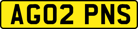 AG02PNS