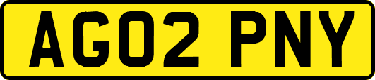 AG02PNY