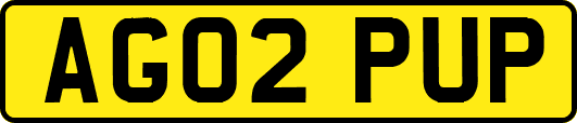 AG02PUP