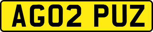 AG02PUZ