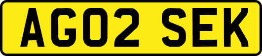 AG02SEK