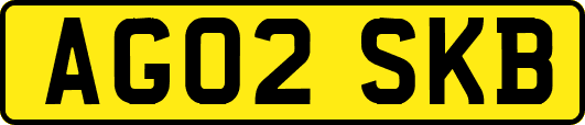 AG02SKB