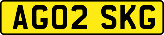 AG02SKG