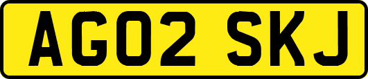 AG02SKJ