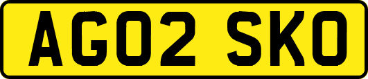 AG02SKO