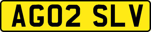 AG02SLV