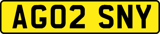 AG02SNY