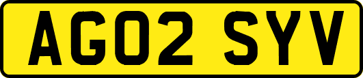 AG02SYV