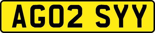AG02SYY