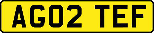 AG02TEF
