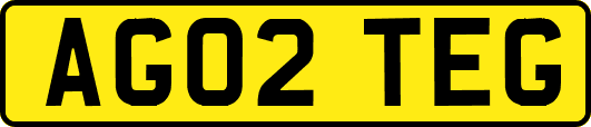 AG02TEG