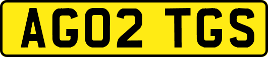 AG02TGS