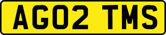 AG02TMS