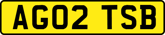 AG02TSB