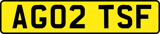 AG02TSF