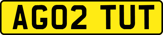 AG02TUT