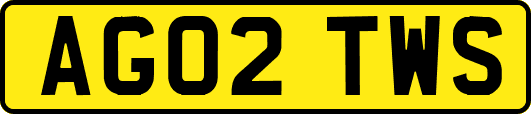 AG02TWS