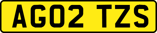 AG02TZS
