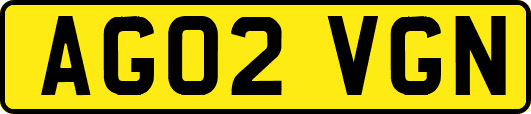 AG02VGN