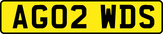 AG02WDS
