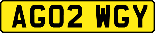 AG02WGY