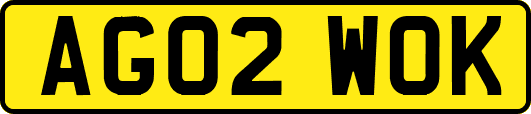 AG02WOK