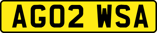 AG02WSA