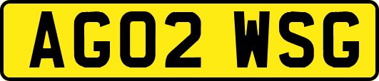 AG02WSG