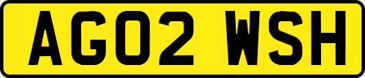 AG02WSH