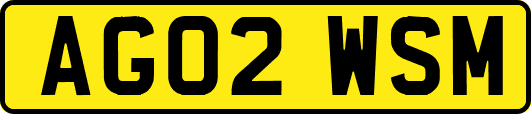 AG02WSM