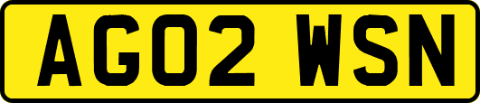 AG02WSN