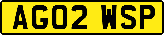 AG02WSP