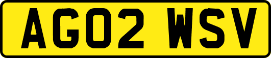 AG02WSV