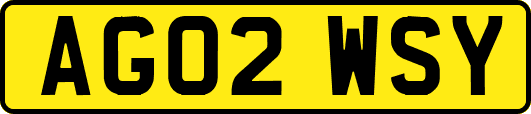 AG02WSY