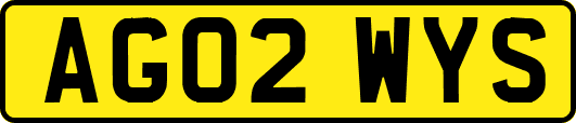 AG02WYS