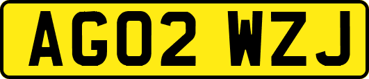 AG02WZJ