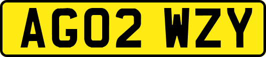 AG02WZY