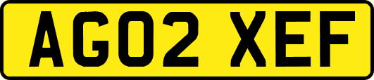 AG02XEF