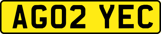 AG02YEC