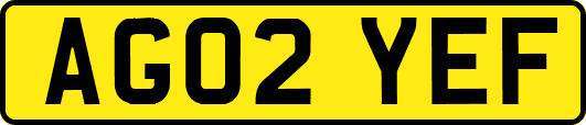 AG02YEF