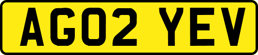 AG02YEV