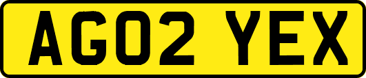 AG02YEX