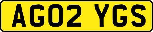 AG02YGS