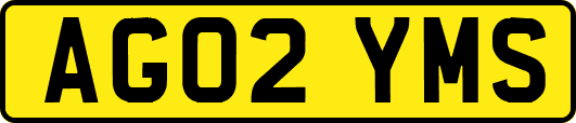 AG02YMS