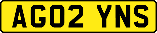 AG02YNS