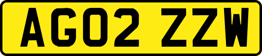 AG02ZZW
