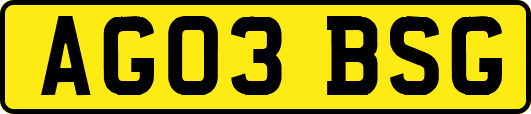 AG03BSG