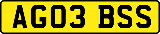 AG03BSS