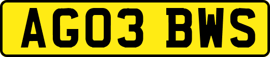 AG03BWS
